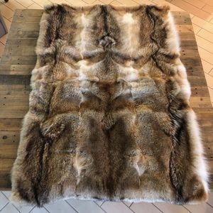 Coyote carpet 62”x42”